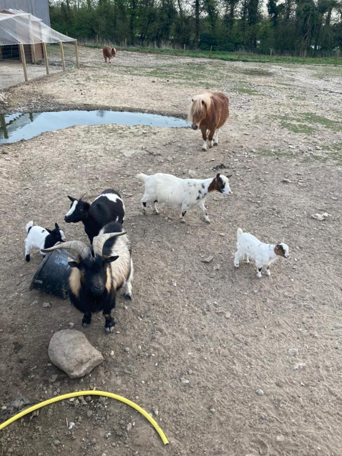 Chambres Dhotes A La Ferme Forest-Montiers Bagian luar foto