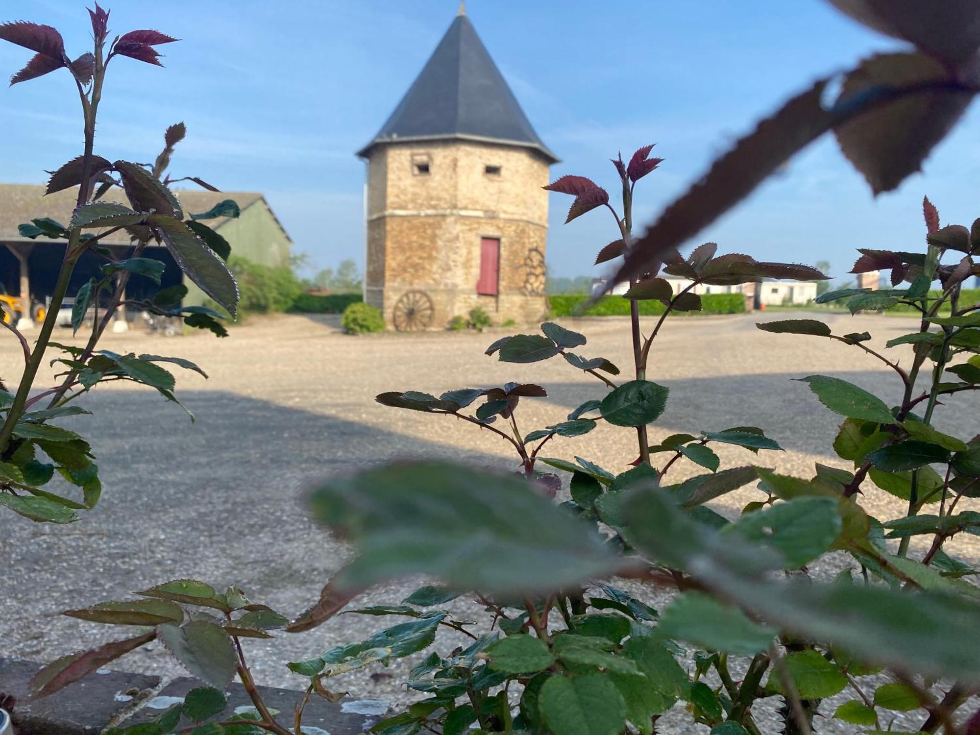 Chambres Dhotes A La Ferme Forest-Montiers Bagian luar foto