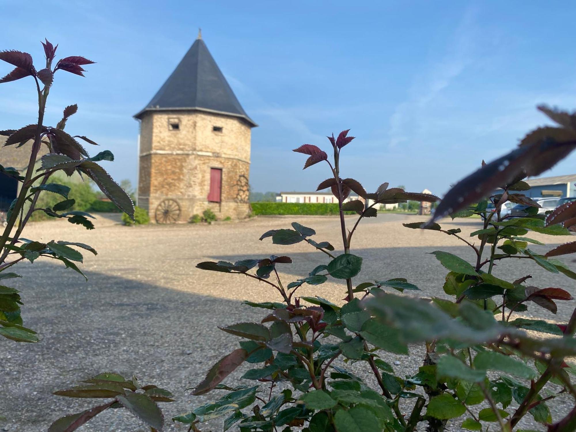 Chambres Dhotes A La Ferme Forest-Montiers Bagian luar foto